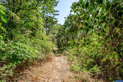 28920 Sheep Head (Next To) Road Brownsville OR 97327