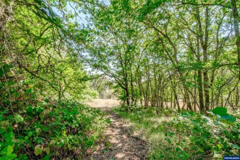 28920 Sheep Head (Next To) Road Brownsville OR 97327