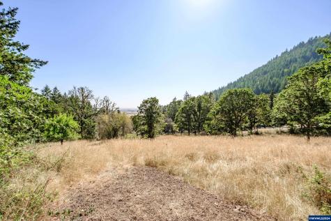 28920 Sheep Head (Next To) Road Brownsville OR 97327