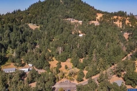 28920 Sheep Head (Next To) Road Brownsville OR 97327