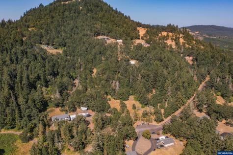 28920 Sheep Head (Next To) Road Brownsville OR 97327