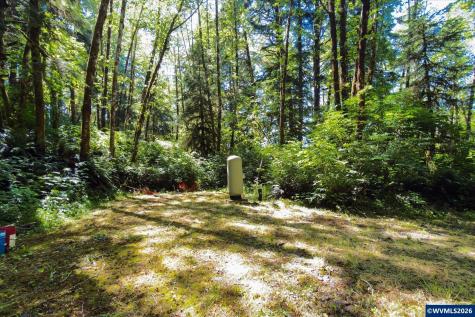 13820 Siletz Highway Siletz OR 97380