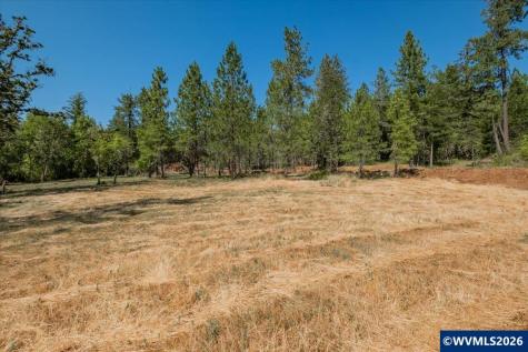 Lot 101 Crawfordsville Drive Sweet Home OR 97386