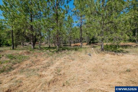 Lot 101 Crawfordsville Drive Sweet Home OR 97386