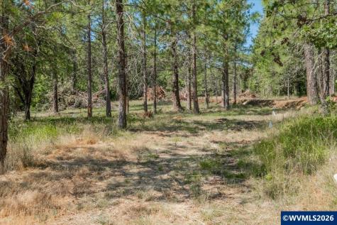 Lot 101 Crawfordsville Drive Sweet Home OR 97386