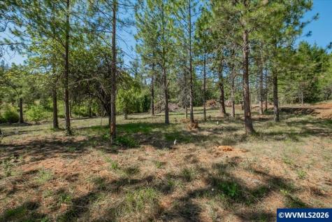 Lot 101 Crawfordsville Drive Sweet Home OR 97386
