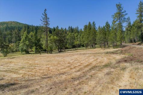 Lot 101 Crawfordsville Drive Sweet Home OR 97386