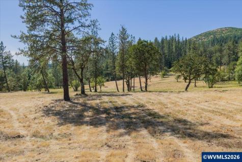 Lot 101 Crawfordsville Drive Sweet Home OR 97386
