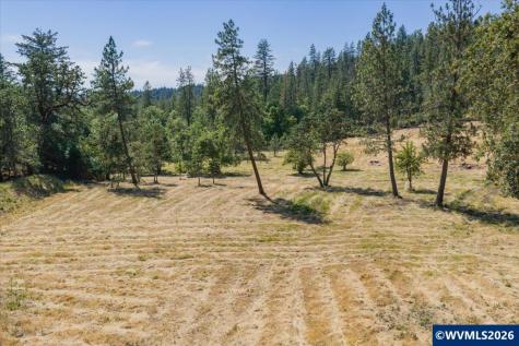 Lot 101 Crawfordsville Drive Sweet Home OR 97386