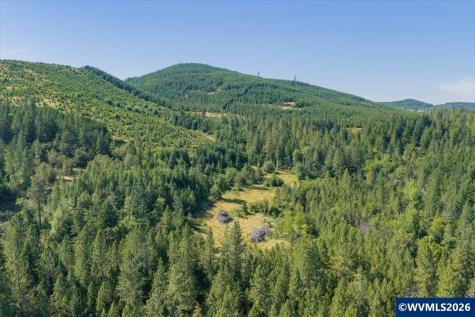Lot 101 Crawfordsville Drive Sweet Home OR 97386