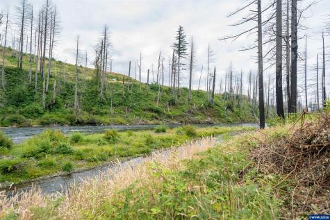 35220 North Santiam Highway SE Gates OR 97346