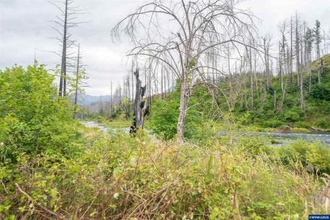 35220 North Santiam Highway SE Gates OR 97346
