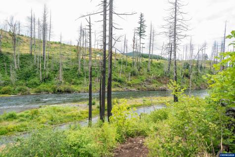 35220 North Santiam Highway SE Gates OR 97346