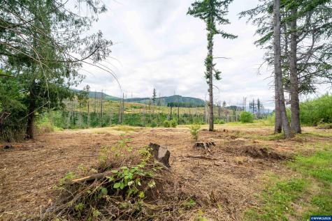 35220 North Santiam Highway SE Gates OR 97346