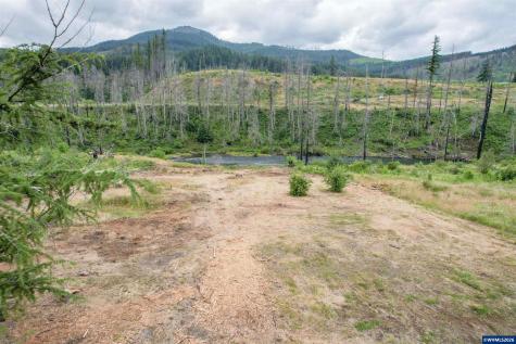 35220 North Santiam Highway SE Gates OR 97346