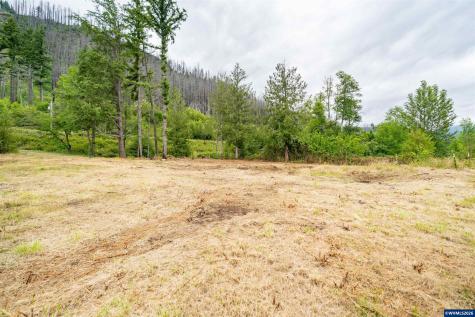 35220 North Santiam Highway SE Gates OR 97346