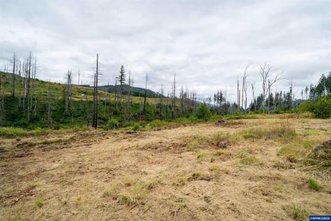 35220 North Santiam Highway SE Gates OR 97346