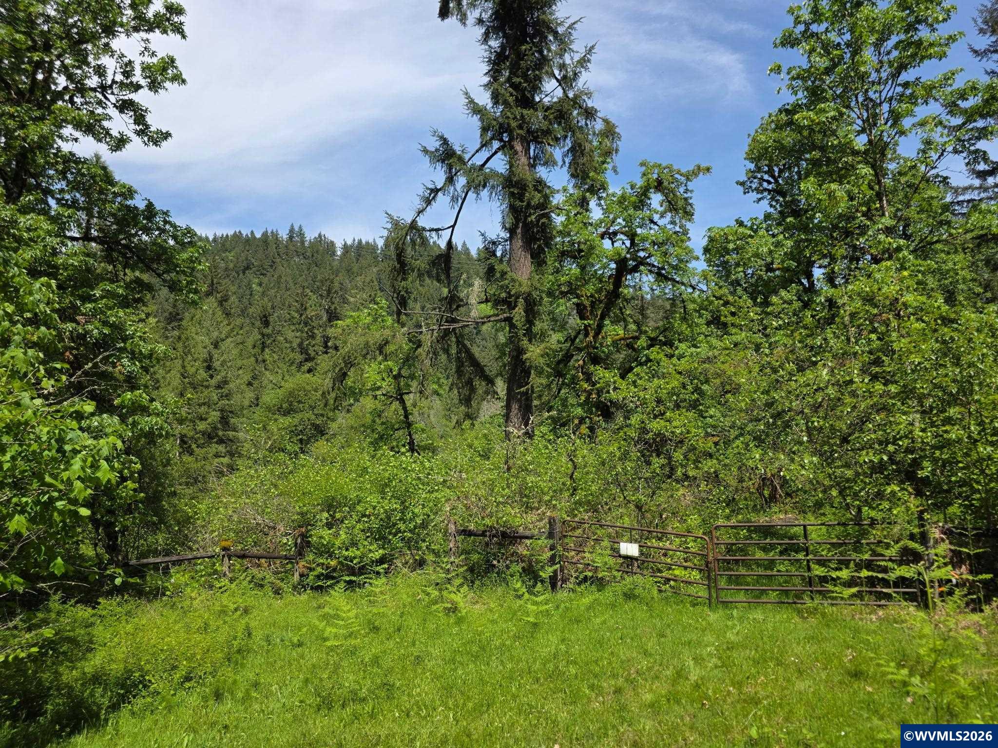Lot 500 Lewis Cemetery Road Silverton OR 97381