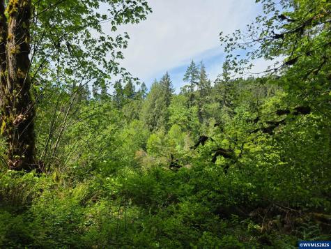 Lot 500 Lewis Cemetery Road Silverton OR 97381