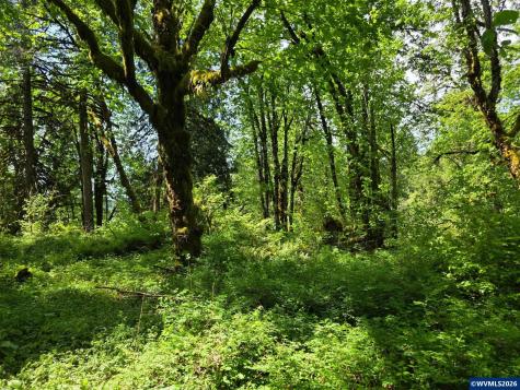 Lot 500 Lewis Cemetery Road Silverton OR 97381