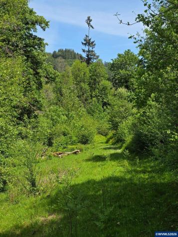 Lot 500 Lewis Cemetery Road Silverton OR 97381