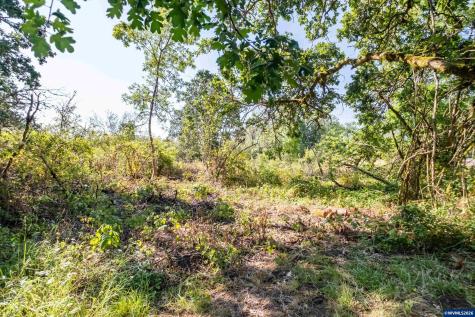 Lot 1600 N 16th Street Independence OR 97351