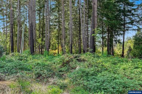 23405 Salmonberry Way SE Lyons OR 97358