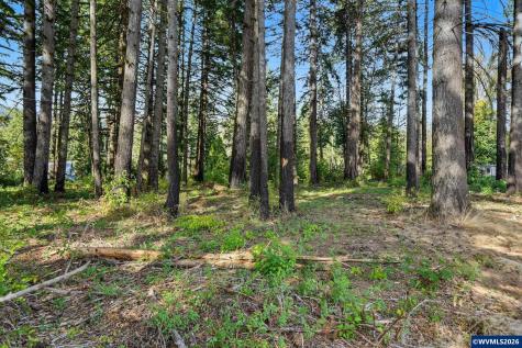 23405 Salmonberry Way SE Lyons OR 97358