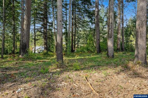 23405 Salmonberry Way SE Lyons OR 97358