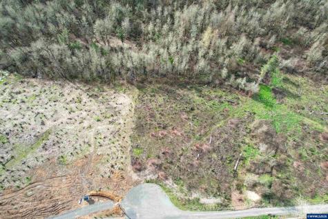 Tl #0707469 Shilling (LOT 2) Drive Scio OR 97374