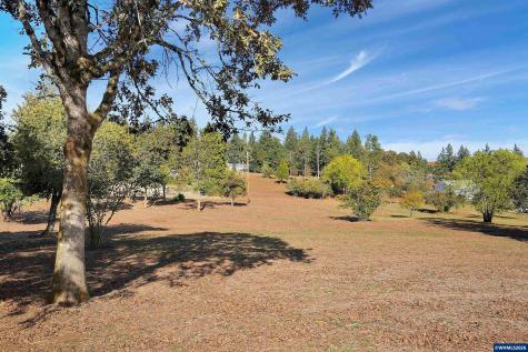 7805 Wildberry Lane SE Salem OR 97306
