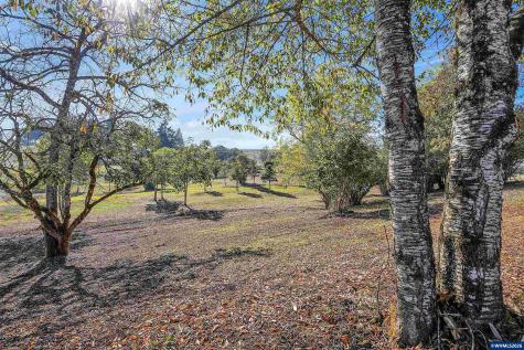 7805 Wildberry Lane SE Salem OR 97306
