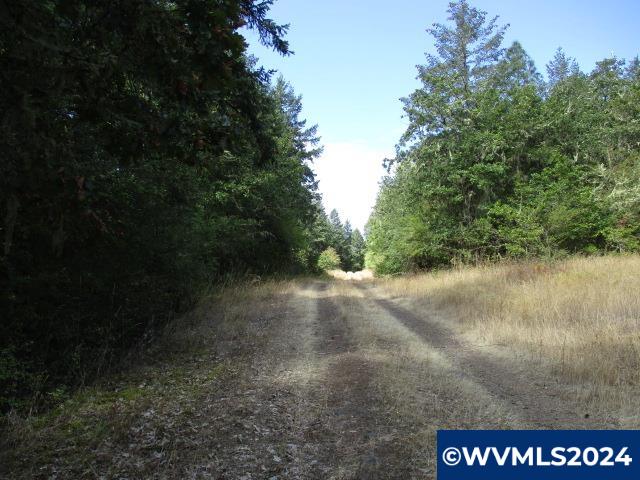 0000 Bellinger Scale (4) Road Lebanon OR 97355