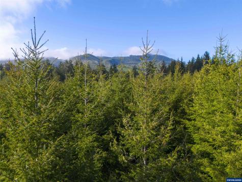 Lot 100 Elmer Miller Road Siletz OR 97380