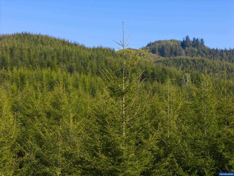 Lot 100 Elmer Miller Road Siletz OR 97380