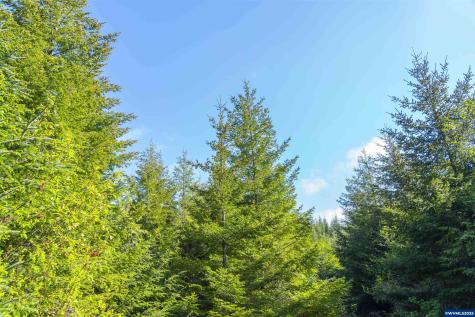 Lot 100 Elmer Miller Road Siletz OR 97380