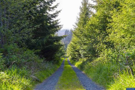 Lot 100 Elmer Miller Road Siletz OR 97380