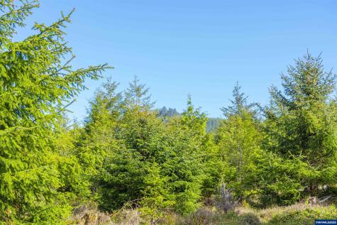 Lot 100 Elmer Miller Road Siletz OR 97380
