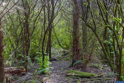 Lot 100 Elmer Miller Road Siletz OR 97380