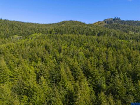 Lot 100 Elmer Miller Road Siletz OR 97380