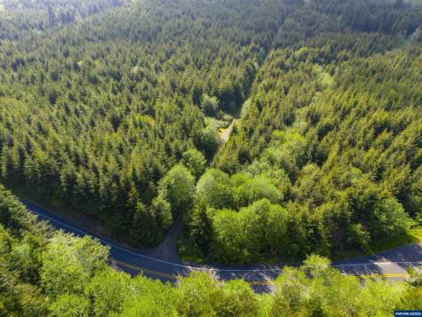 Lot 100 Elmer Miller Road Siletz OR 97380