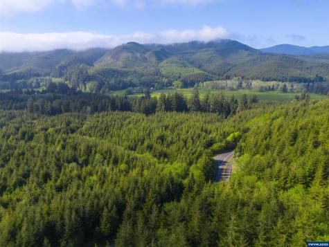 Lot 100 Elmer Miller Road Siletz OR 97380