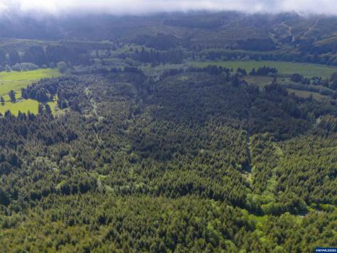 Lot 100 Elmer Miller Road Siletz OR 97380