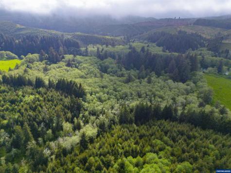Lot 100 Elmer Miller Road Siletz OR 97380