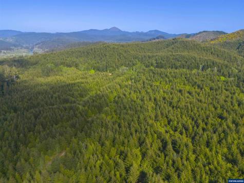 Lot 100 Elmer Miller Road Siletz OR 97380