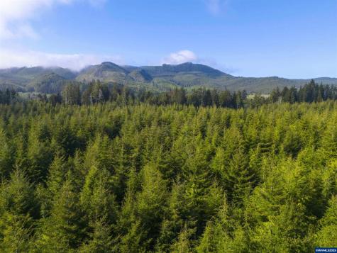 Lot 100 Elmer Miller Road Siletz OR 97380