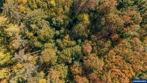 Lot 2300 SE Lafayette Highway Dayton OR 97114