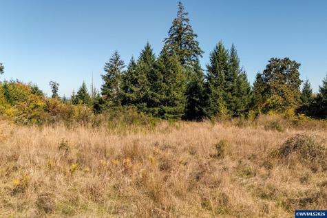 Lot 2300 SE Lafayette Highway Dayton OR 97114