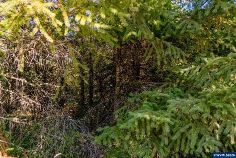 Lot 2300 SE Lafayette Highway Dayton OR 97114