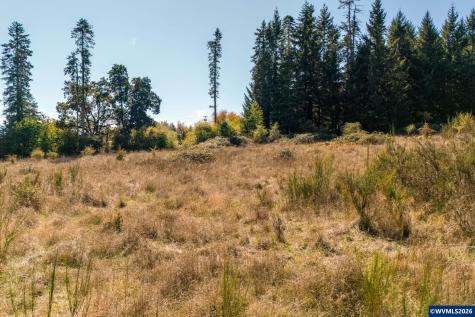 Lot 2300 SE Lafayette Highway Dayton OR 97114